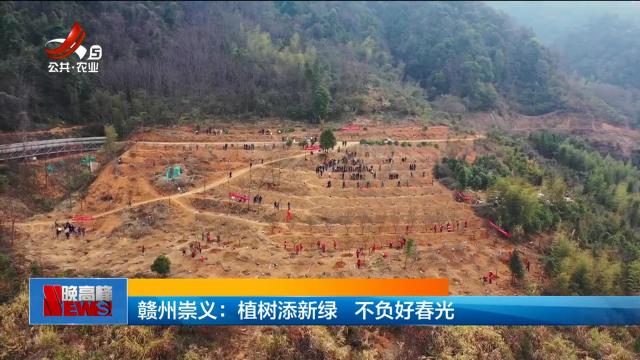 赣州崇义：植树添新绿 不负好春光