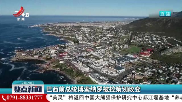 整点新闻20250220 10：00