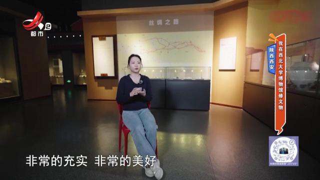陕西西安——我在西北大学博物馆修文物