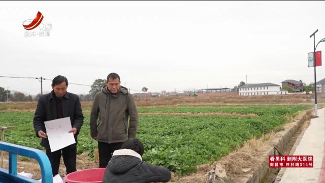 三农头条20250216
