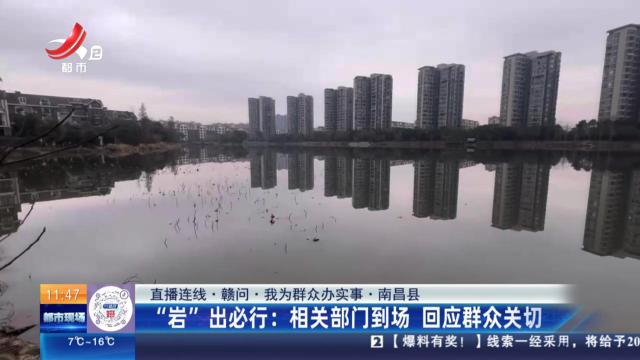 都市现场·午间版20250211