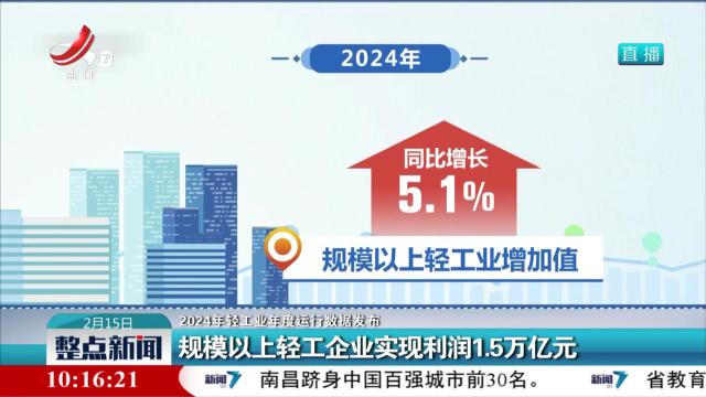 【2024年轻工业年度运行数据发布】规模以上轻工企业实现利润1.5万亿元
