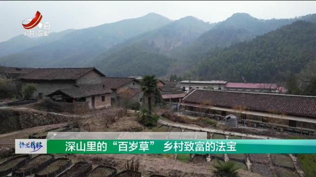 赣出精彩20250228