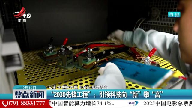“2030先锋工程”：引领科技向“新”攀“高”