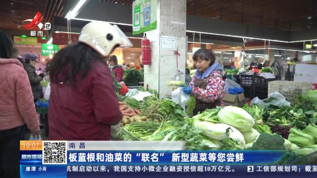 南昌：板蓝根和油菜的“联名” 新型蔬菜等您尝鲜