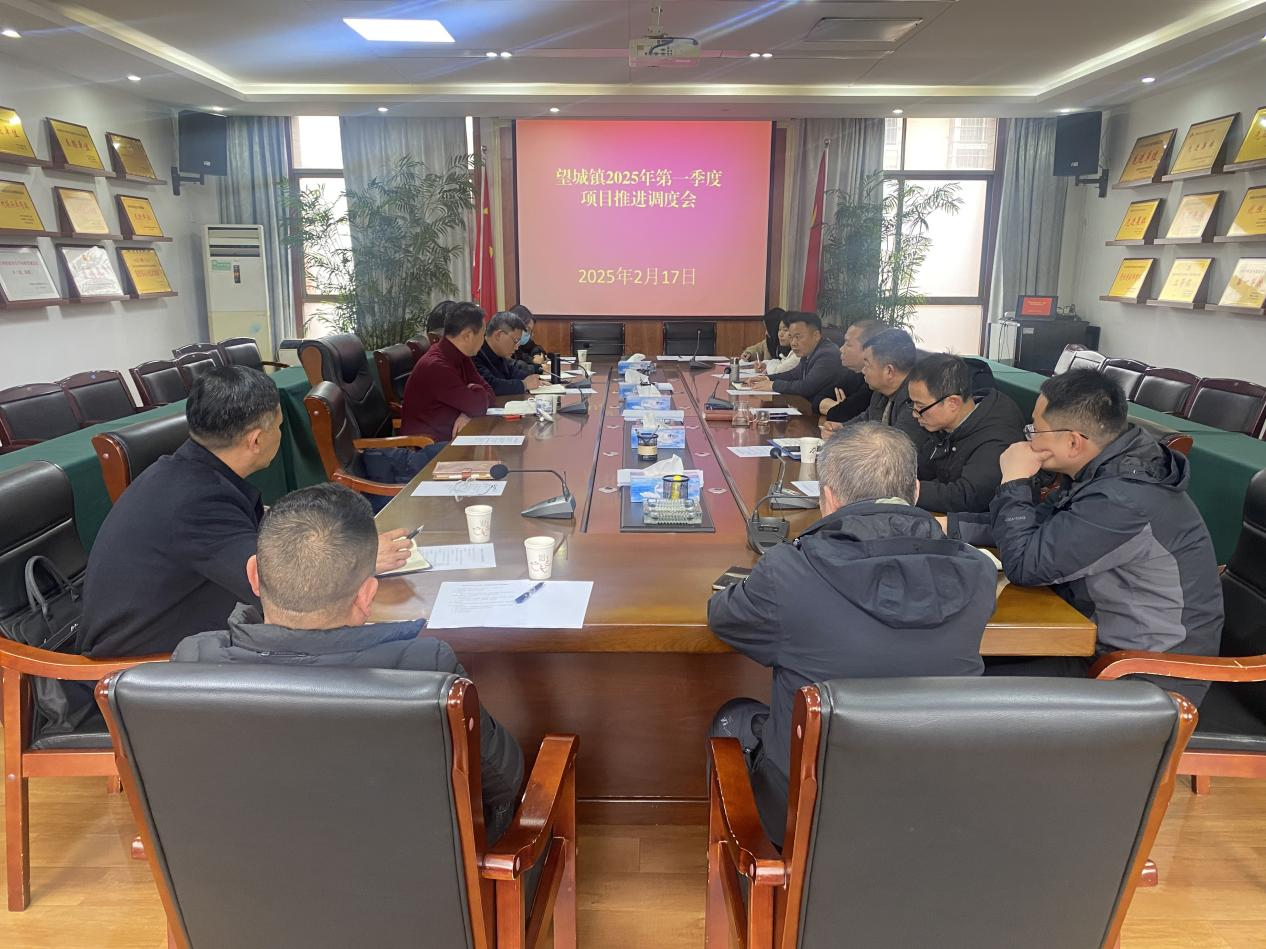 南昌市新建区望城镇召开2025年2月份经济运行调度会