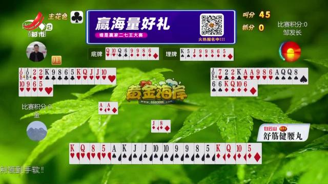 谁是赢家20250220