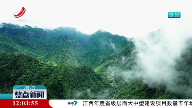 整点新闻20250207 12：00