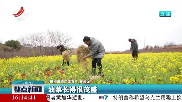 积极做好降温应对 减少寒潮影响