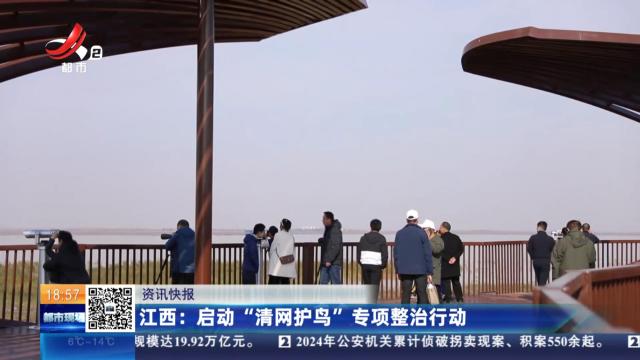 江西：启动“清网护鸟”专项整治行动