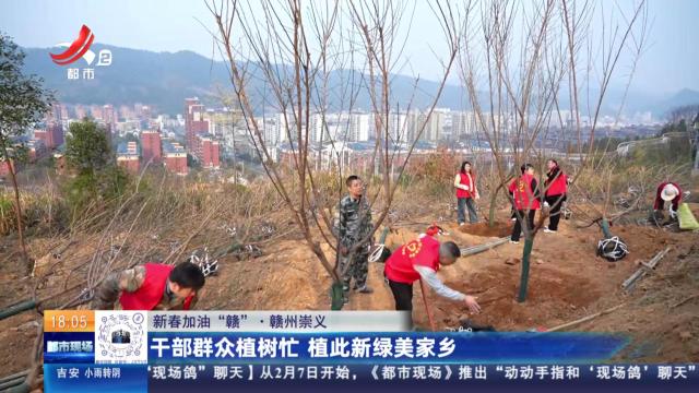 【新春加油“赣”】赣州崇义：干部群众植树忙 植此新绿美家乡