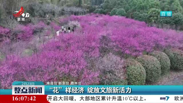 “花”样经济 绽放文旅新活力