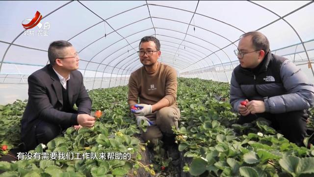 赣州：第一书记扎根基层 绘就乡村振兴新画卷
