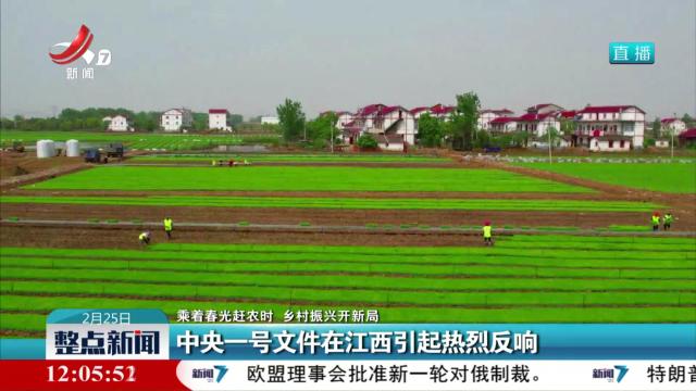 【乘着春光赶农时 乡村振兴开新局】中央一号文件在江西引起热烈反响