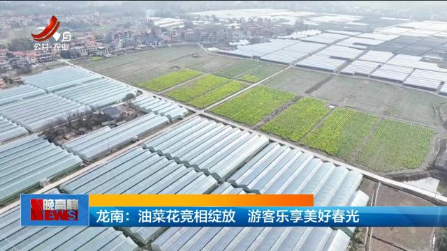 龙南：油菜花竞相绽放 游客乐享美好春光
