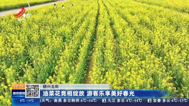 赣州龙南：油菜花竞相绽放 游客乐享美好春光