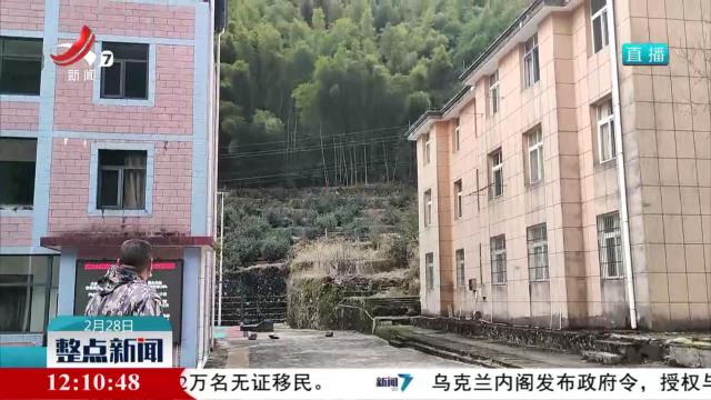 武夷山国家公园（江西片区）成功救助一只松雀鹰