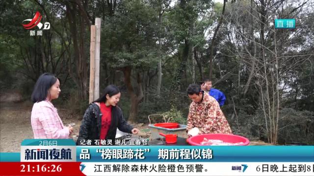 品“榜眼蹄花” 期前程似锦