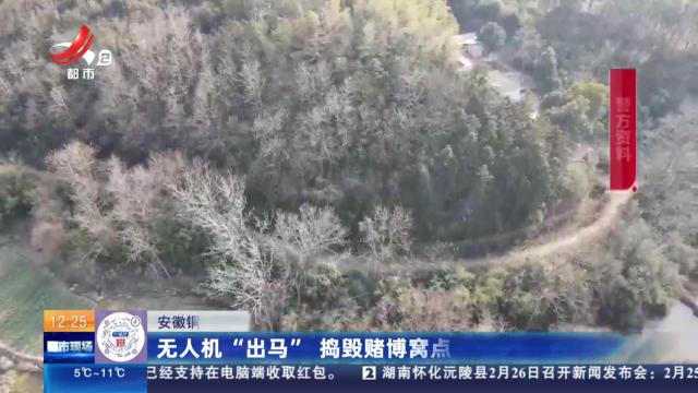 安徽铜陵：无人机“出马”捣毁赌博窝点