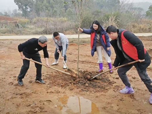 植下抹抹绿 收获处处春——上高县敖阳街道开展植树志愿活动