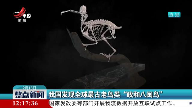 我国发现全球最古老鸟类“政和八闽鸟”