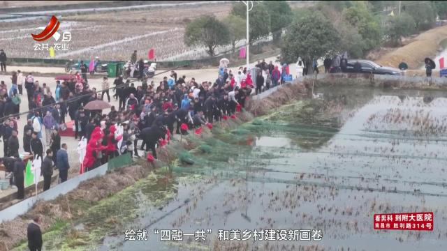 三农头条20250225