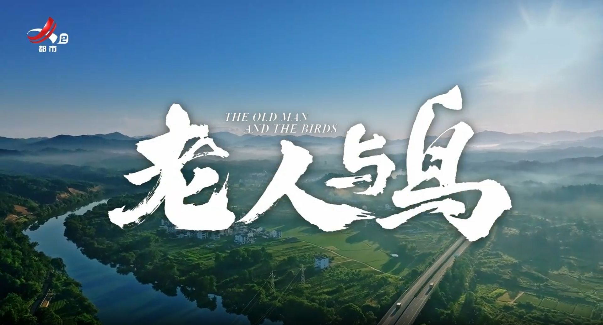 老人与鸟