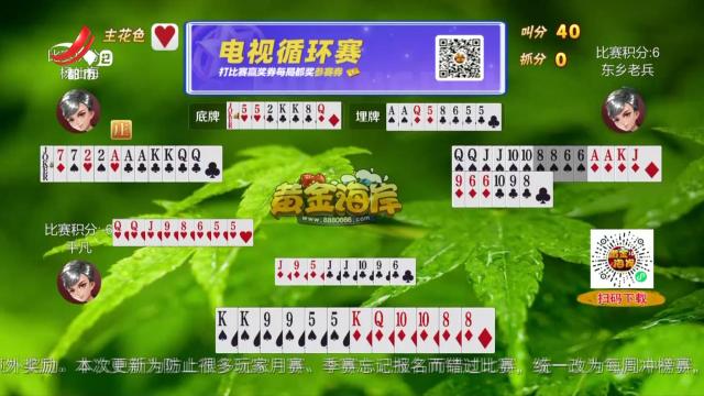 谁是赢家20250228