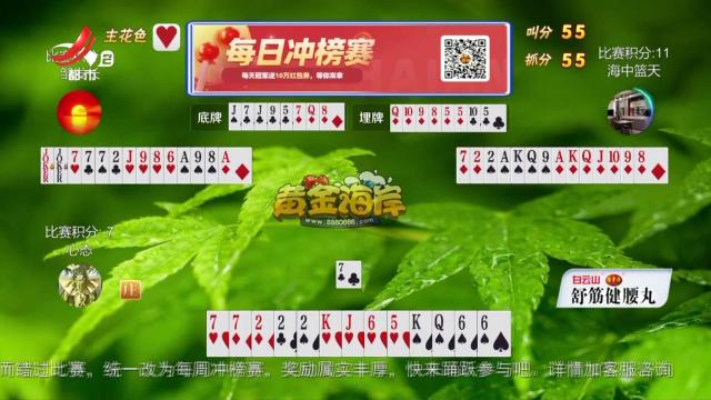 谁是赢家20250214