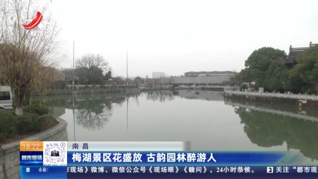 南昌：梅湖景区花盛放 古韵园林醉游人