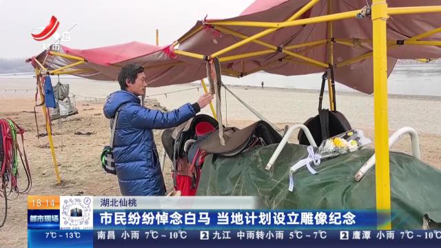 湖北仙桃：市民纷纷悼念白马 当地计划设立雕像纪念
