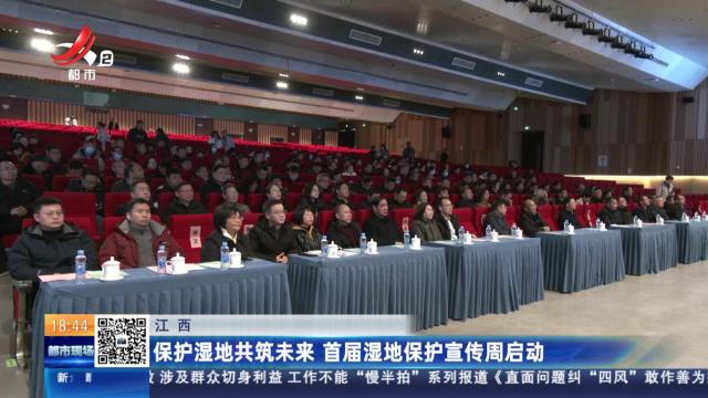 都市现场20250208