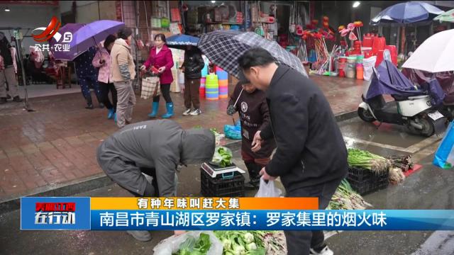 美丽江西在行动20250209 【有种年味叫赶大集】南昌市青山湖区罗家镇：罗家集里的烟火味