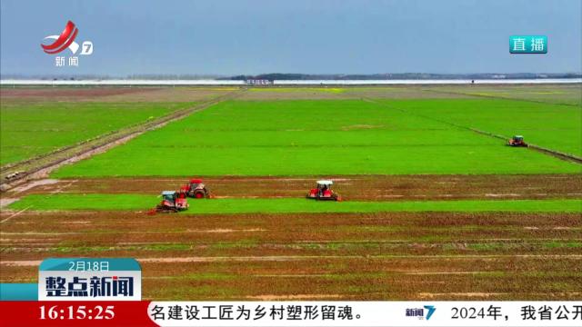 【今日雨水】草渐绿 花始开 春回万物兴