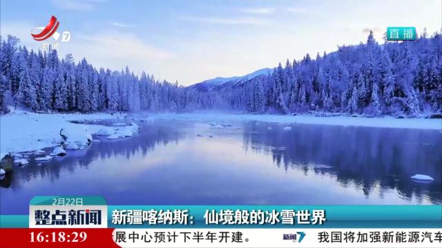 整点新闻20250222 16:00