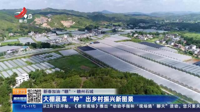 【新春加油“赣”】赣州石城：大棚蔬菜“种”出乡村振兴新图景