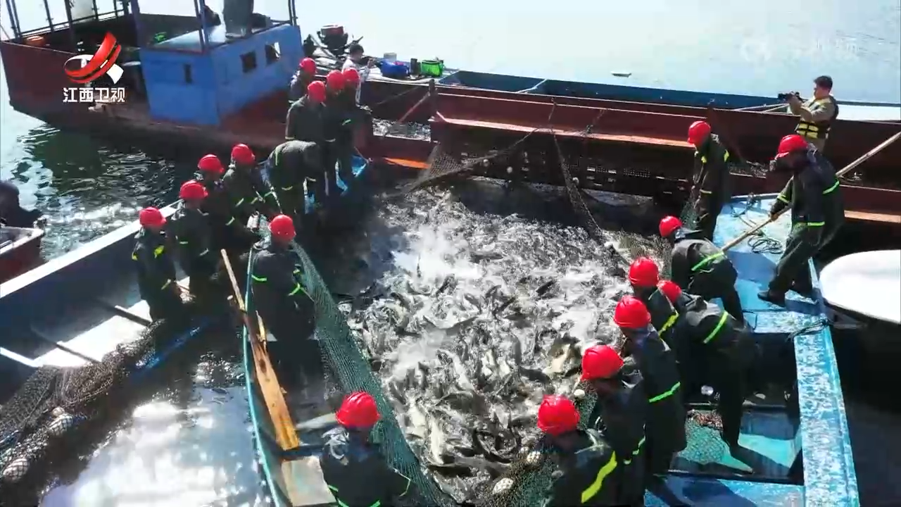 水里生“金” 拓宽乡村“致富路”