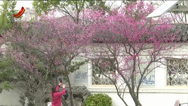 新闻晚高峰20250210