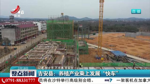 吉安县：养殖产业乘上发展“快车”