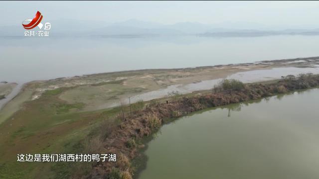 新闻晚高峰20250225