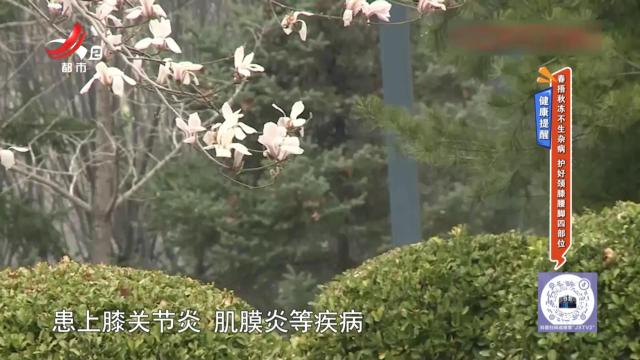 地宝当家20250221