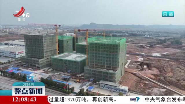 整点新闻20250206 12：00