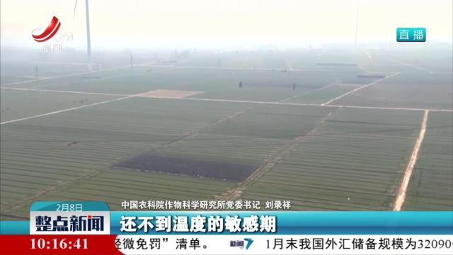 整点新闻20250208 10：00