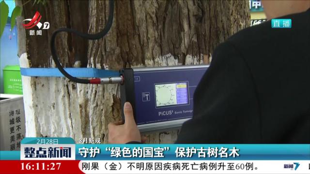 【3月新规】守护“绿色的国宝”保护古树名木