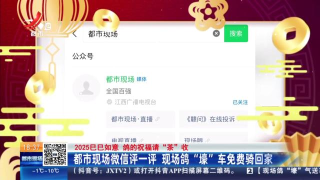 【2025巳巳如意 鸽的祝福请“茶”收】都市现场微信评一评 现场鸽“壕”车免费骑回家