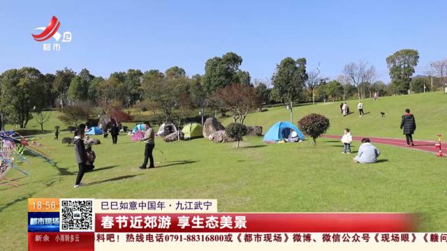 【巳巳如意中国年】九江武宁：春节近郊游 享生态美景