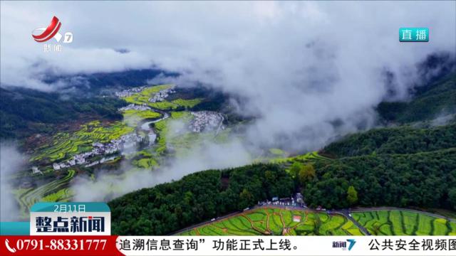 整点新闻20250211 10:00