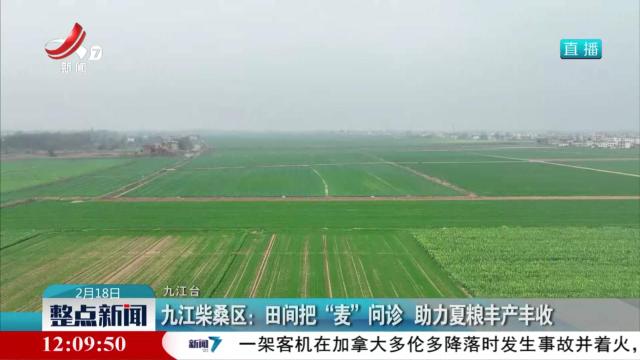 九江柴桑区：田间把“麦”问诊 助力夏粮丰产丰收