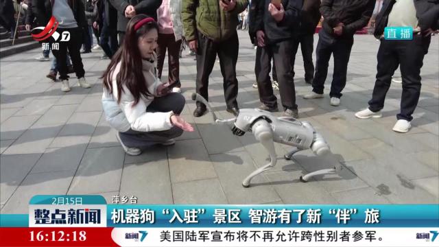 机器狗“入驻”景区 智游有了新“伴”旅