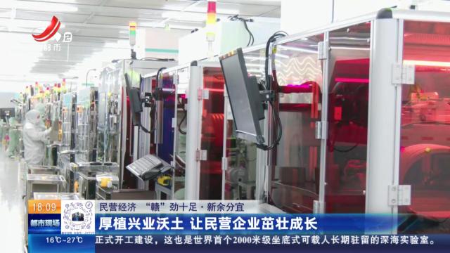 【民营经济 “赣”劲十足】新余分宜：厚植兴业沃土 让民营企业茁壮成长